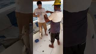 اطلس لتنظيم الرحلات البحرية من ام القيوين مع النوخذة ابو يوسف 00971555572066 #fishing