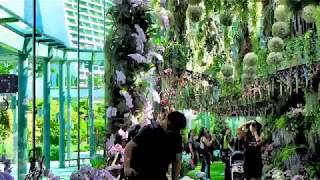 Amazing 4K Floral Fantasy at Gardens by the Bay