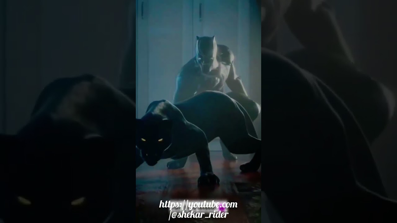 Pulsar Rs 200 black panther short video please friend support me 🙏🔥 #status #youtubeshorts #short