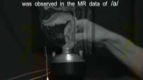 vocal tract model synthesis