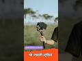 Cinematic Gimbal Shots 🔥 | Mobile Videography Level Up 🚀