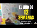 EL AÑO DE 12 SEMANAS (Productividad Personal-Desarrollo Profesional) Resumen de Libros Recomendados