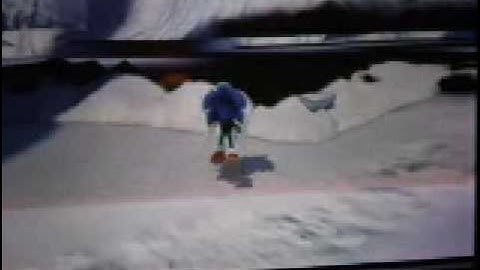 sonic unleashed glitches 1