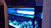 55g t5 canopy rebuild