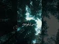 وعسى أن تكرهوا شيئا وهو خير لكم ياسر الدوسري وعسى أن تكرهوا شيئا وهو خير لكم ياسر الدوسري