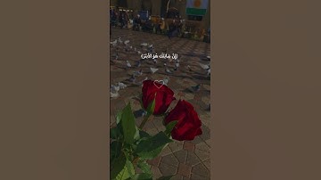 سورة الكوثر عبدالرحمان سديس🤍