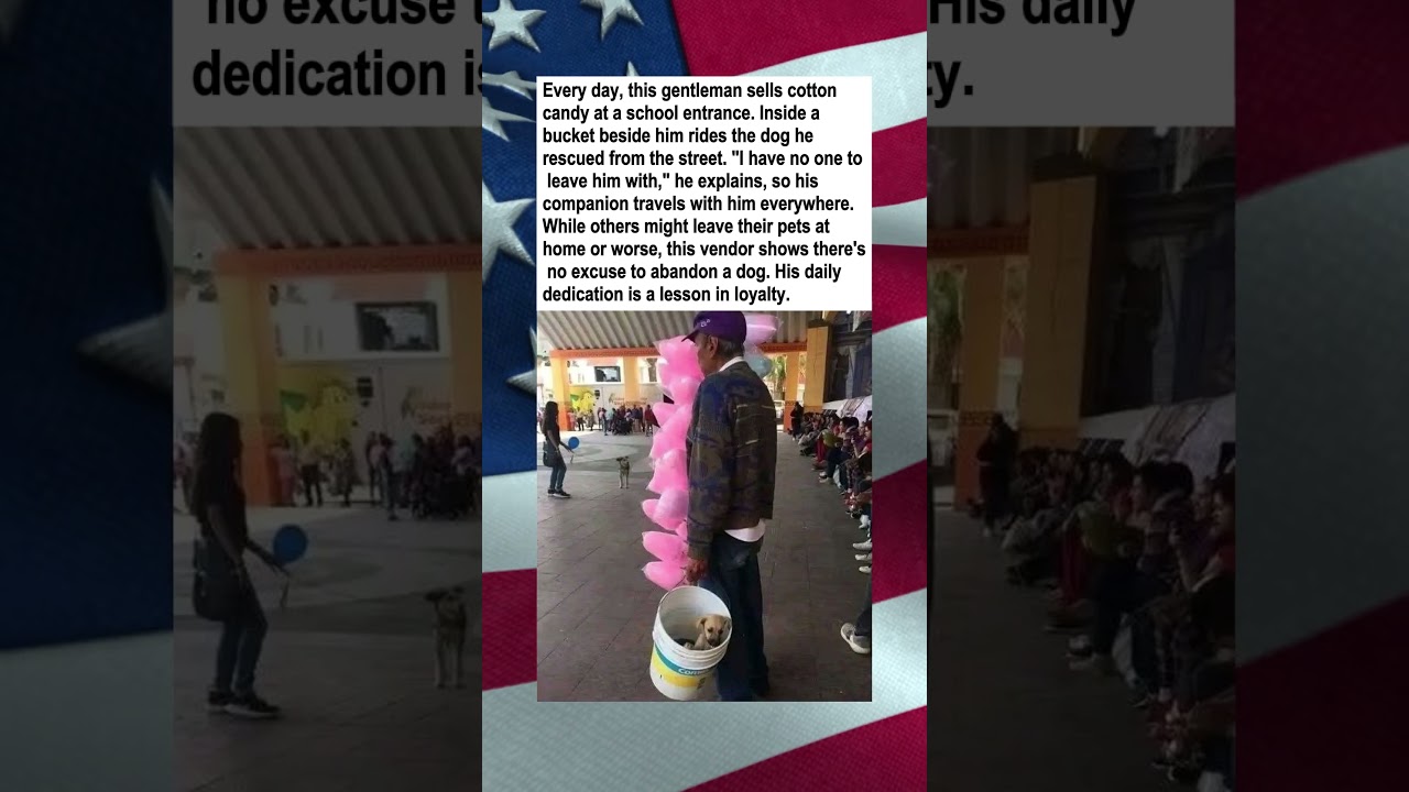 Street Vendor Carries Rescued Dog in Bucket