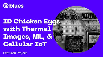 ID Chicken Eggs with Thermal Images, ML, and Cellular IoT