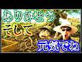 【穴開いちゃった！】 ２カ月という短命でした