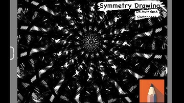 Symmetry Drawing on Autodesk Sketchbook