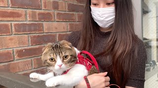 親子猫に生まれて初めて大雨を見せてみたら、各々の反応が可愛すぎたw