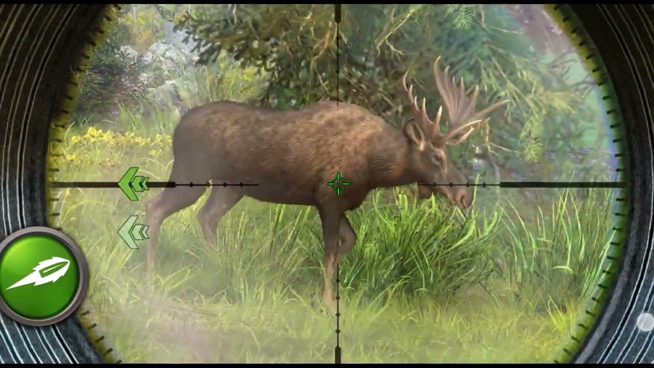 Animal Hunting | Wild Hunting Games 3D | Wild Animals 2022 | Gameplay #36 | 