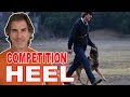 How to Teach Competition Focused Heel to Your Dog