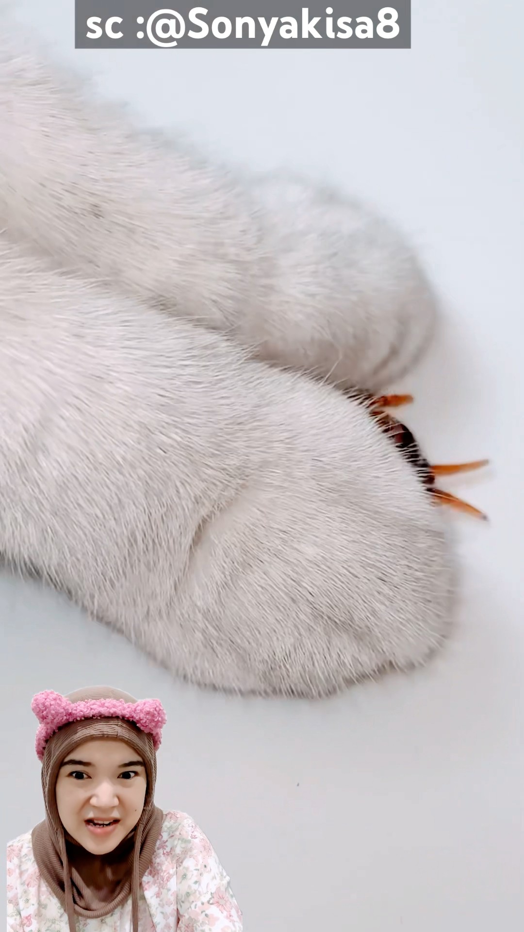 miaw pemberani‼️Sonyakisa8