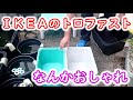 【めだか】また容器を増やしてしまった・・・。ＩＫＥＡのトロファスト　これ良さそう！！