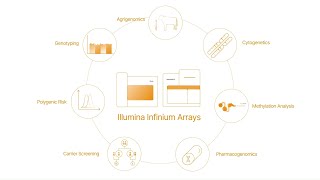 Infinium Arrays: With Infinium and Beyond