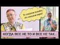 Когда все не то и все не так!