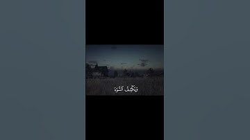 أَمَّن یُجِیبُ ٱلۡمُضۡطَرَّ إِذَا دَعَاهُ🤍🎧 سورة:النمل #quran #اكتب_شي_تؤجر_عليه #قرآن #fyp