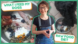WHAT I FEED MY DOGS - RAW FOOD DIET by Jitka Krizo Averis 303 views 2 years ago 9 minutes, 20 seconds