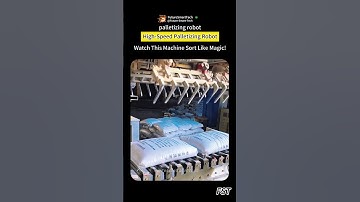 High-Speed Palletizing Robot — Watch This Machine Sort Like Magic!