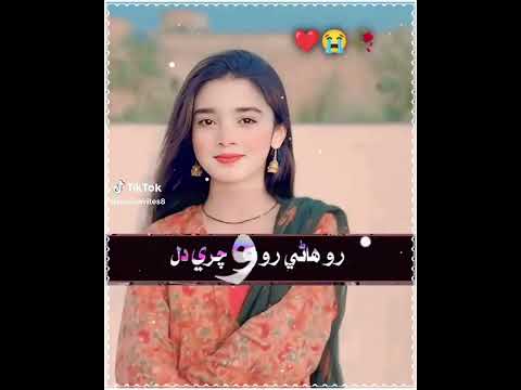 Sindhi Poetry Poet Bakhat Ali Sindhi Stutas Sindhi Tiktok Stutas