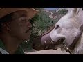 Capture de la vidéo Preview Clip: White Dog (1982, Paul Winfield, Kristy Mcnichol, Burl Ives, Bob Minor)