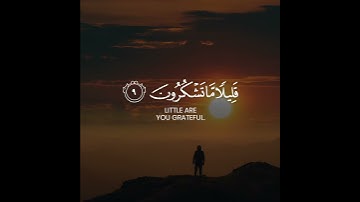 Surah As-Sajdah _ Ayah 7 - 9 _ Abdurrahman Masood _ سورة السجدة _ عبدالرحمن مسعد