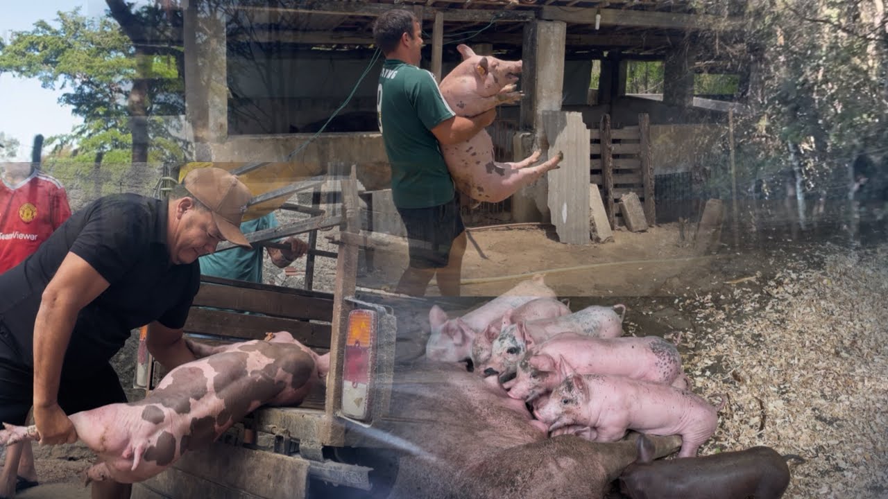 2ª Parte das entregas na região do Pernabuco.