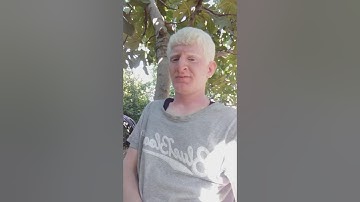 يضيق صدرك بما يقولون تلاوة بصوت القارئ عامر جبو