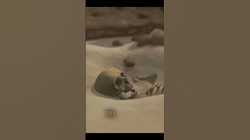 How Scientists Tell the Age of Fossils #shortsviral