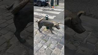 Brussels Zinneke Pis