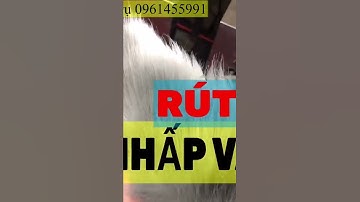 Ít Ai Biết, Cách Thử Kéo Tỉa Tóc Có BÉN Không | Quang 3S #shorts