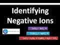 Identifying Negative Ions Quiz