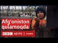 Афғонистон қуламоқда: Айбдор ким - Толибон ё Америка? BBC News O'zbek Dunyo