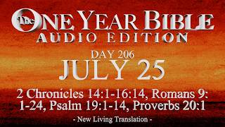 Day 206 | July 25 | One Year Bible Audio | 2 Chr 14-16, Rom 9, Ps 19, Prov 20