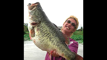 Top 5 BIGGEST Bass EVER Caught 