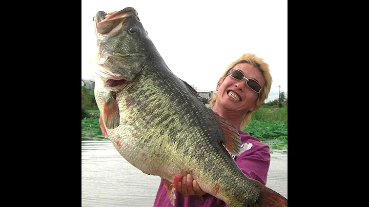 Top 5 BIGGEST Bass EVER Caught!