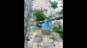 Bàn chải cắt cỏ trên nền