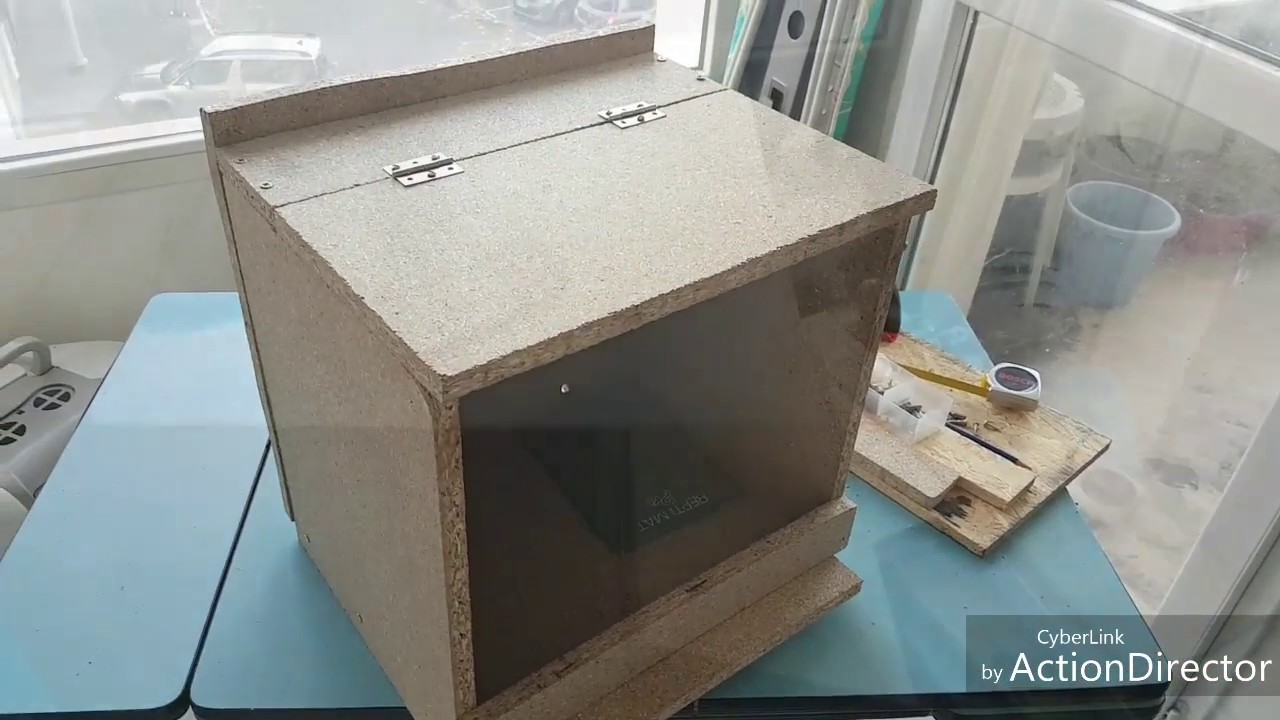 terrariophilie magasin Construction Terra pour Subadulte