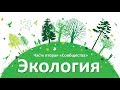 14.2 Экология часть II - сообщества (9 или 10-11 класс) - биология, подготовка к ЕГЭ и ОГЭ 2018