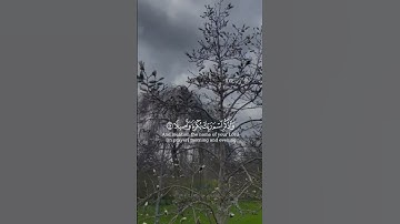 #quran #اكسبلور #تلاوة_خاشعة