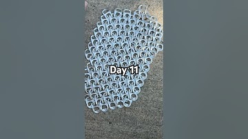 Day 11 of adding soda tabs until I have a full chain mail armor suit ￼￼