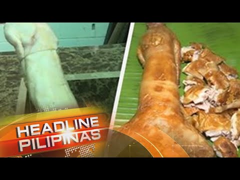 Video: Paano Gumawa Ng Mga Cutlet Ng Kuneho