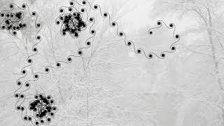 Nested Euler spiral