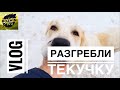 ВЛОГ / РАЗГРЕБЛИ ТЕКУЧКУ / ПРОДОЛЖАЕМ ДЕЛАТЬ РЕМОНТ