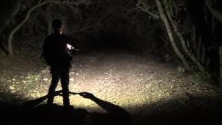Headlamp comparison - Zebralight H600Fw-H600Fc-H603w-H602w vs Armytek WIzard