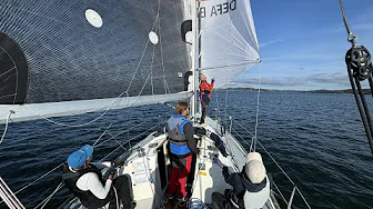 Diva 35 Umami last race of 2024