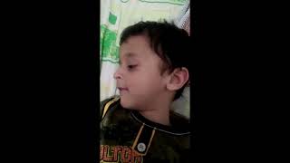 Abdul Hadi ||Autistic||Autism Spectrum||2 years old||Singing Baby Baby Yes Papa eating sugar No ||