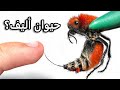 حصلت على قاتل أبقار أليف اللسعة الأكثر ألم ا