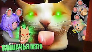 Принесли Кисику Кошачью Мяту!  Roblox Escape Bleh Cat!